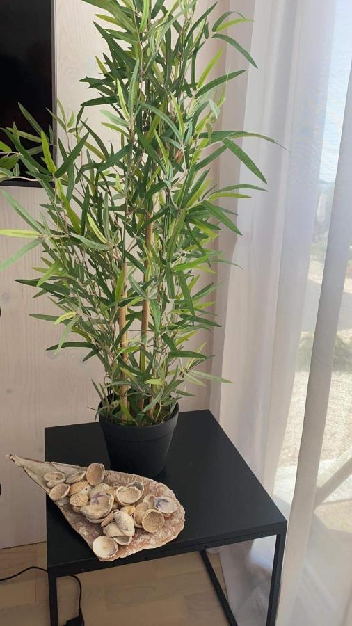 Buqez Eco Resort - Beach Villa 37 And 40 Pakoštane Dış mekan fotoğraf
